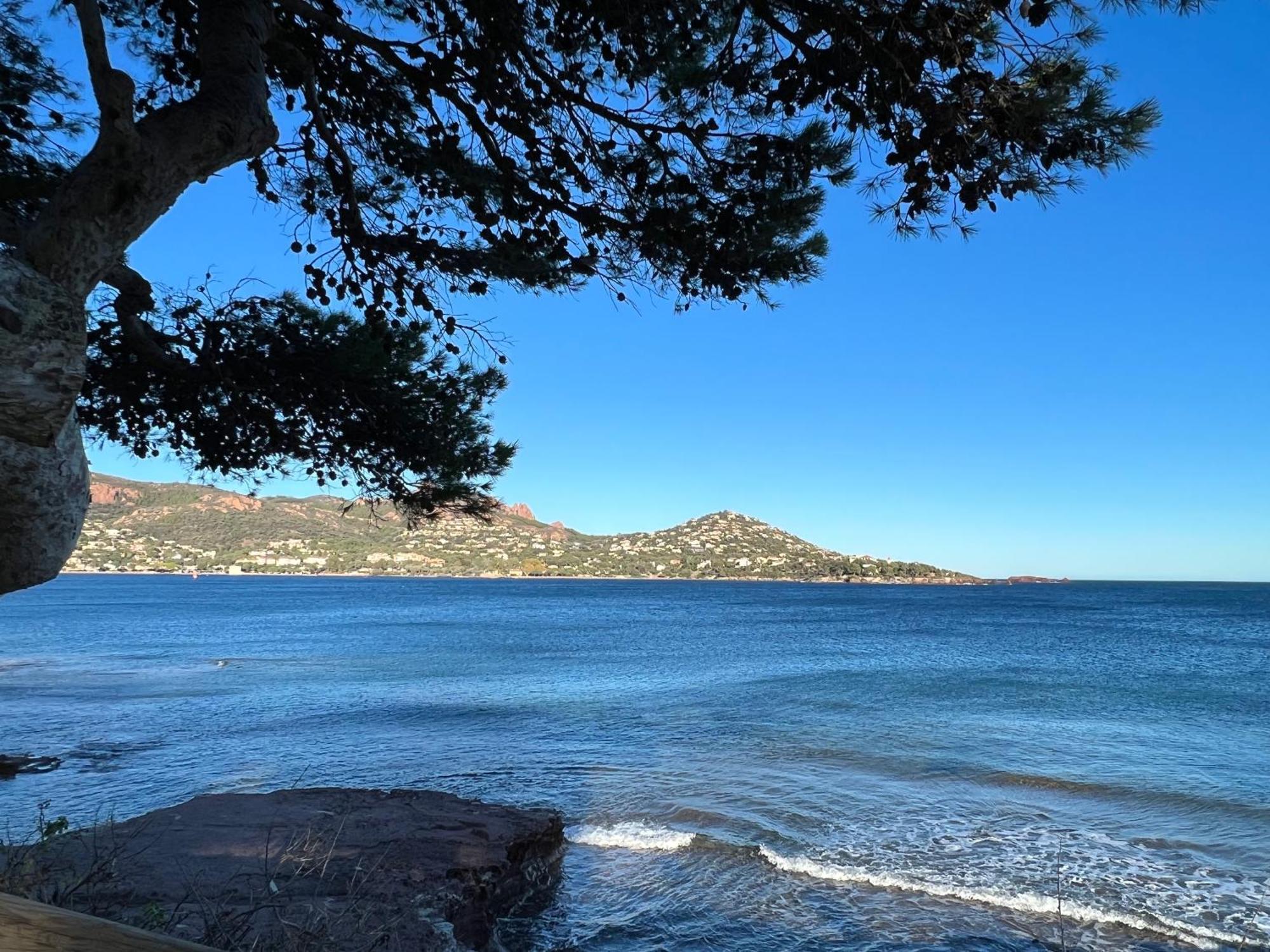 Studio Climatise Vue Mer A Proximite De La Plage Saint-Raphaël Eksteriør billede